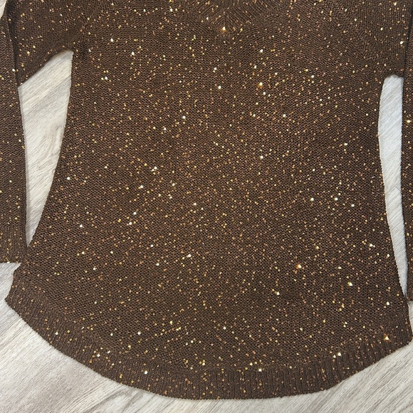 Soft Surroundings Brown Sequin Embellished Shimmer Knit V-Neck LS Tunic Sweater - Picture 6 of 9
